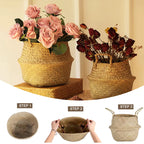 Seaweed Wicker Basket
