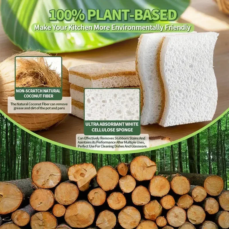Natural Kitchen Coconut  Sponge Scrubber