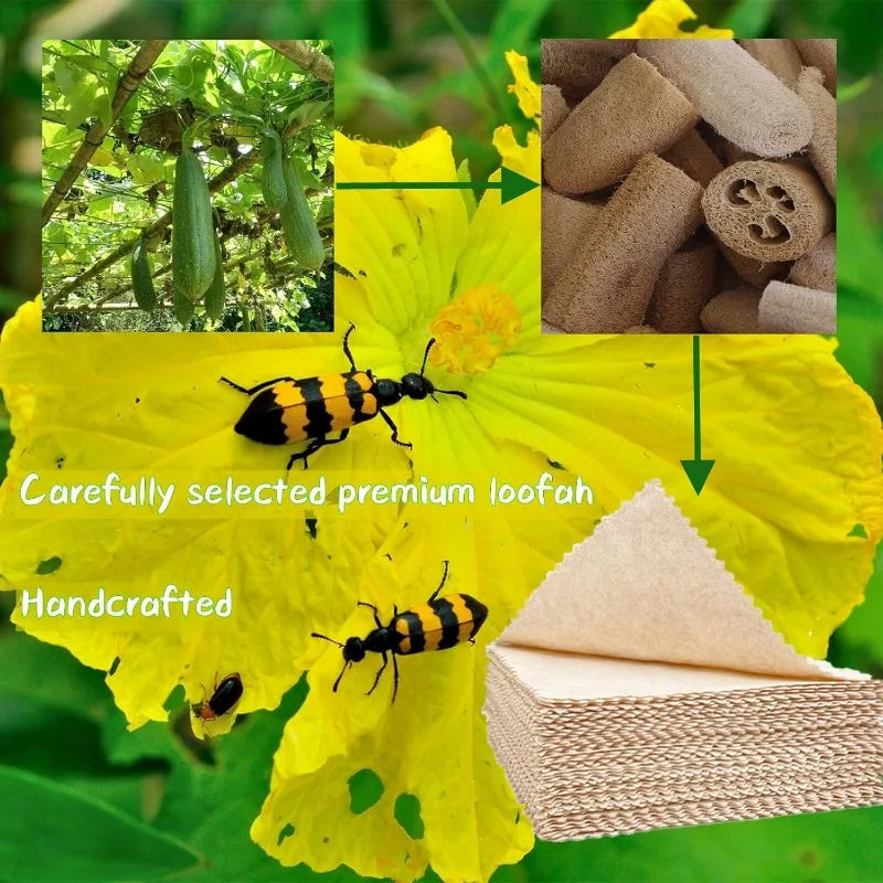 Natural Dishcloths Reusable and Compostable Towels