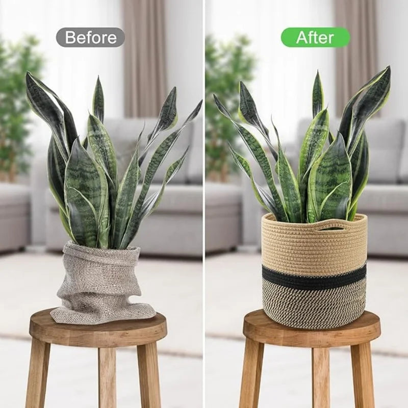 Cotton Rope Plant Basket